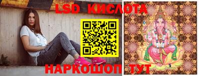 спиды Моздок