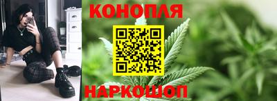 спиды Моздок