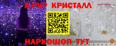 спиды Моздок