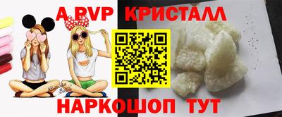 спиды Моздок