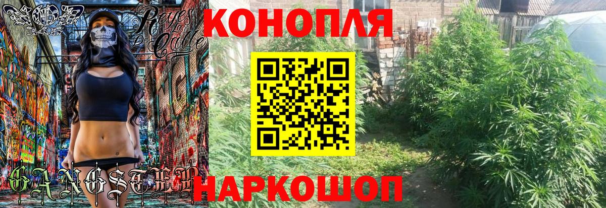 Конопля White Widow Черняховск